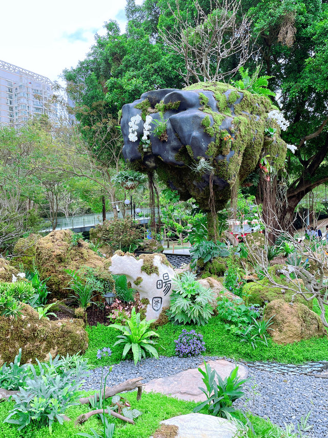 被公園治癒瞬間｜不愧是深圳特區造價近300萬的花展盡免費開放