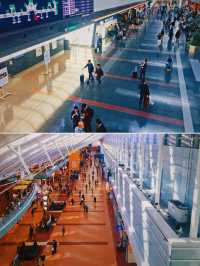 日本人文｜探訪日本航空第一門戶，羽田國際空港