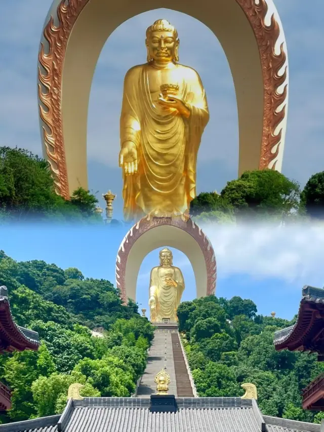 Donglin Grand Buddha Ultimate Travel Guide