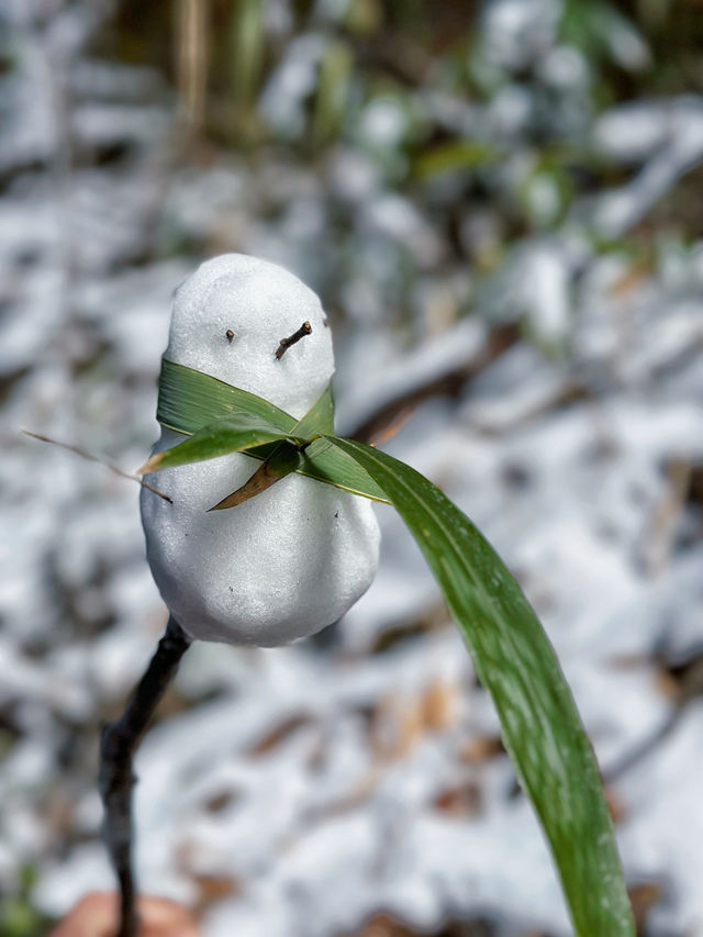 踏雪九仙山｜福建德化兩天一夜自駕遊