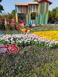 福州沙灘公園賞花行