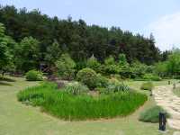 森林休閒勝地——貴陽登高雲山森林公園