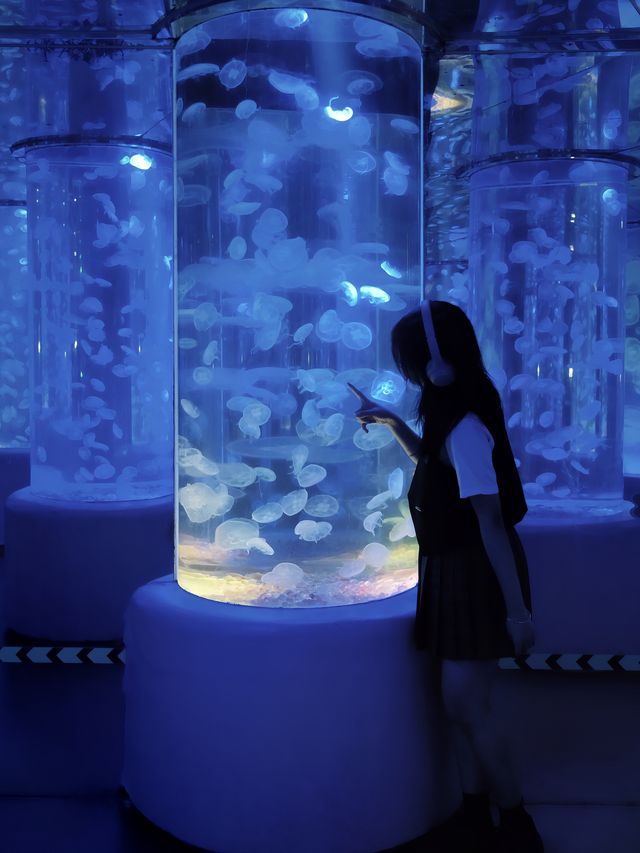深圳海洋館|掉入 藍色夢境🫧