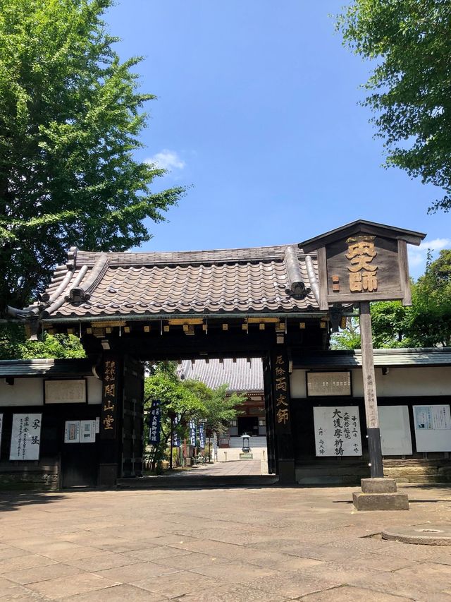日本東京上野公園丨春有櫻花夏荷花，秋有紅葉冬有雪丨神社博物館