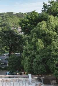 城市山林隱逸：不出市區，直面龍井茶園