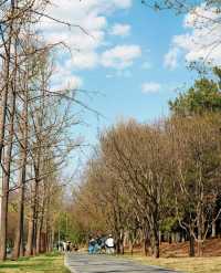 雁栖湖西山步道重磅回歸