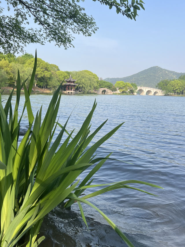 杭州旅遊｜西湖留給遊客，湘湖留給自己～