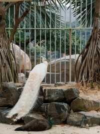 漳州石岩植物園，我幫你們去過啦