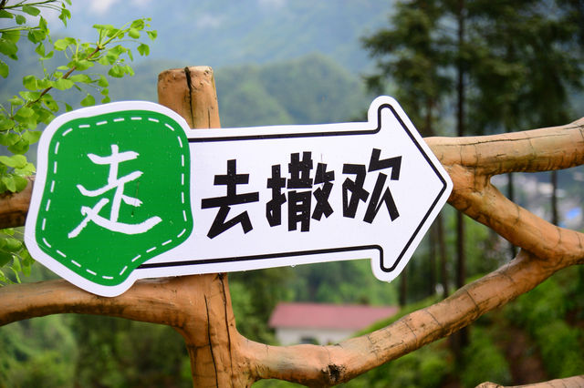 最美四月天，漢中鎮巴茶海麗人多