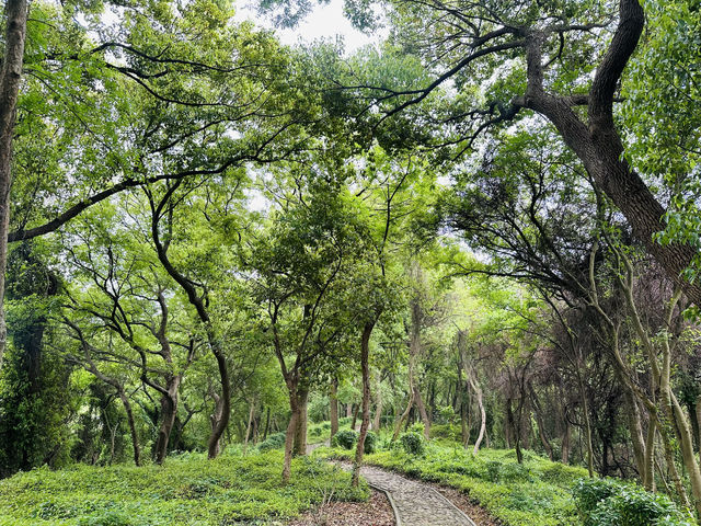 小昆山與華庭二陸