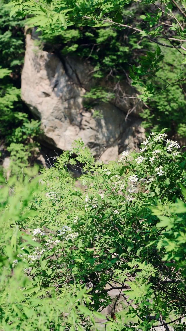 來聽山間的風～戶外徒步野線穿越雙窯大峽谷