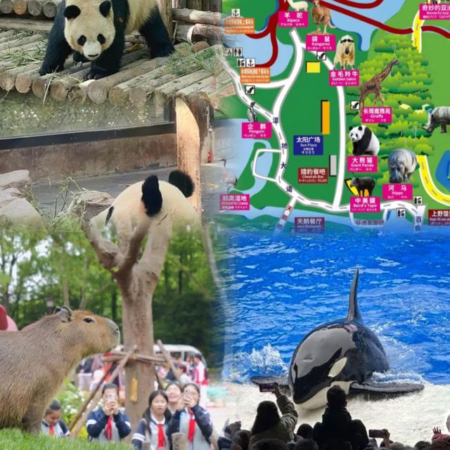 上海野生動物園超實用攻略