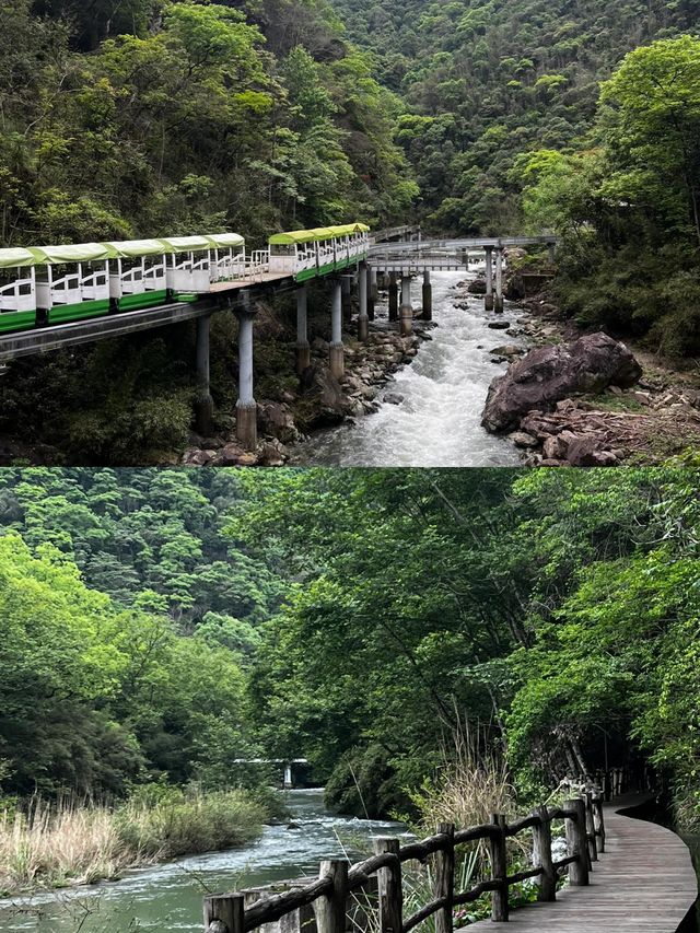 救命！江西靖安居然真有封神級別的山野