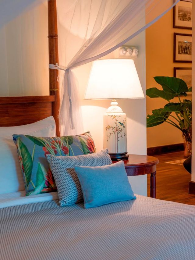 🌱🍵 Serenity in Sri Lanka: Ceylon Tea Trails Escape 🍵🌱