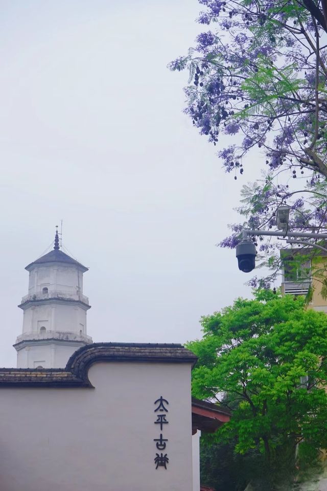 於山｜藏於鬧市中～獨守一方靜