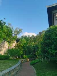 在太陽市遛彎