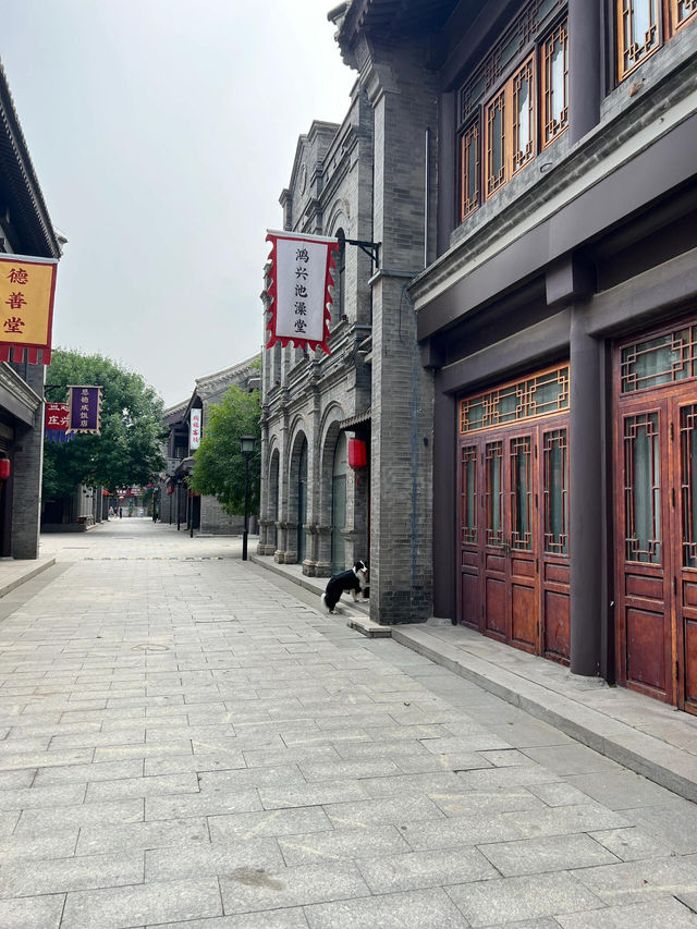 出門遛狗|天津一個不被人知的北塘古鎮