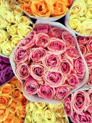 🌸 Jakarta's Flower Market: A Blossoming Paradise 🌺