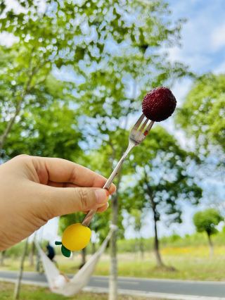 Suzhou Strolling with Kids | This is the right way to camp