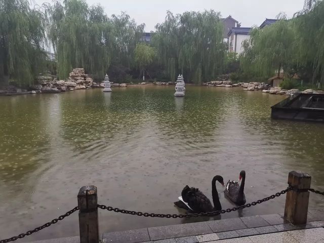 兩次保定涞源夏日家庭之旅的親身感受1