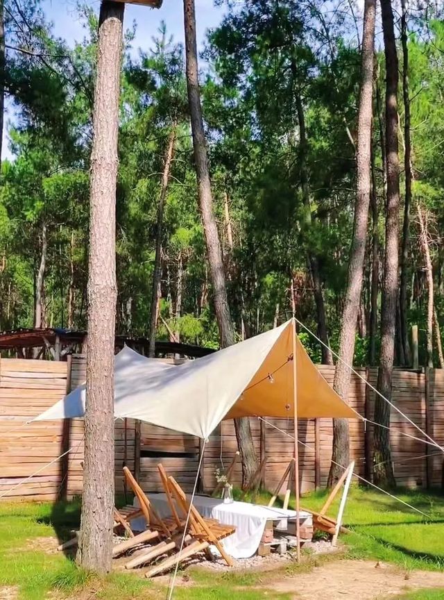 愛上楠溪江只要兩秒！避世民宿清涼一夏。