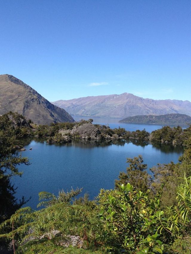 🌟 Wanaka's Hidden Gem: Lime Tree Lodge 🏔️✨