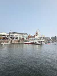 Cardiff Bay, the modern beating hard of Wales’ Capital Cardiff 🏴󠁧󠁢󠁷󠁬󠁳󠁿 