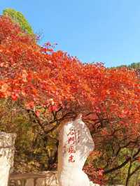 來就不想走 每次來都玩不夠 再多住幾天吧
