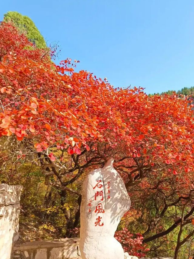 來就不想走 每次來都玩不夠 再多住幾天吧