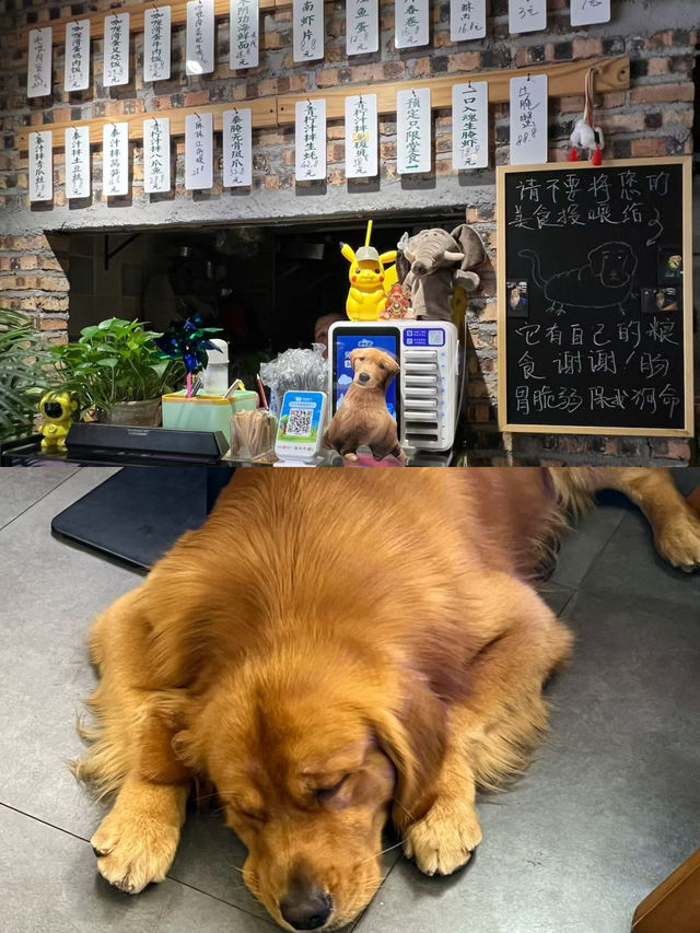 韶關步行街/隱藏在小巷的咖哩蛋飯小店。
