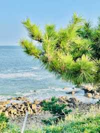 黃島一定要體驗一下趕海嘅快感啦。