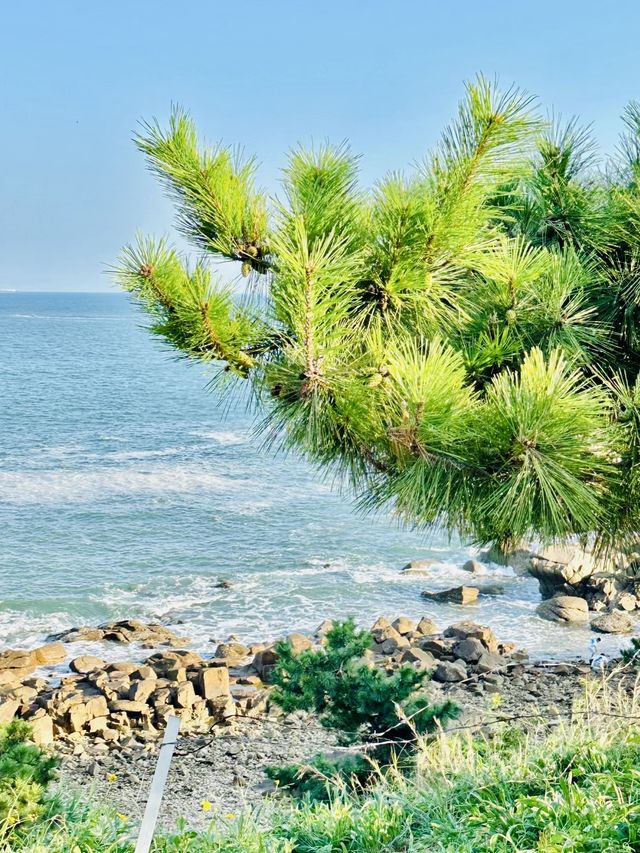 黃島一定要體驗一下趕海嘅快感啦。