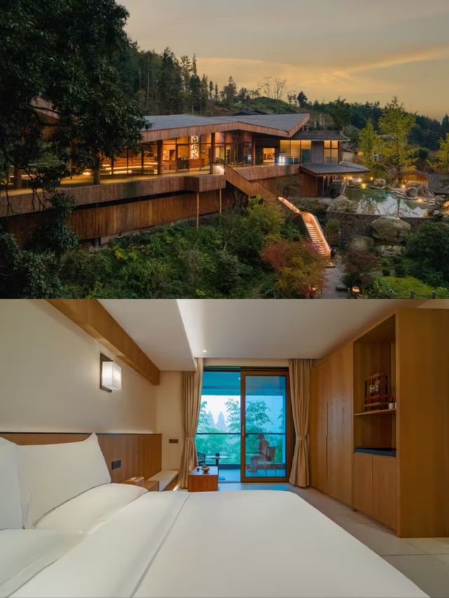 住在千年古寺旁,發現1,700年樹齡的樟樹。 住在千年古寺旁,發現1,700年樹齡的樟樹。