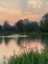 成都適合一個人閒逛的免費公園！摩訶池公園，來了就不想走!