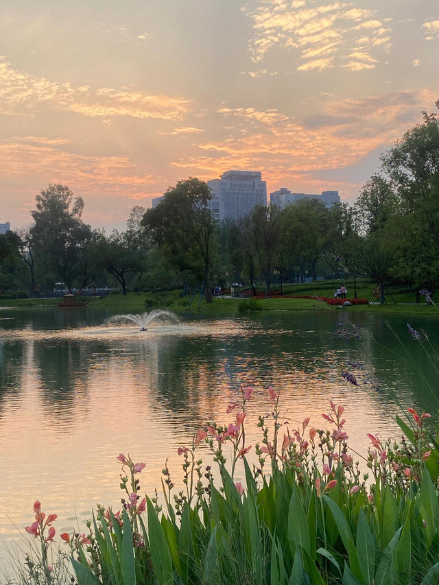 成都適合一個人閒逛的免費公園！摩訶池公園，來了就不想走!