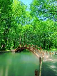 吉林通化三角龍灣國家森林公園｜國慶最美賞秋之選。