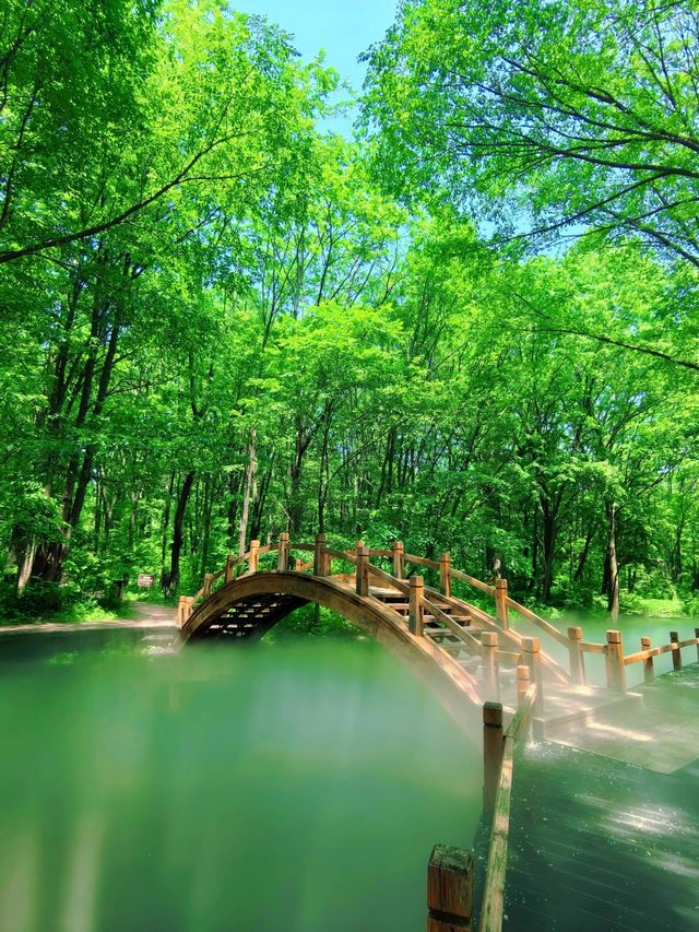 吉林通化三角龍灣國家森林公園｜國慶最美賞秋之選。