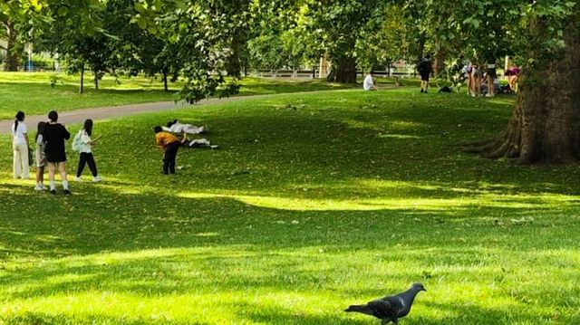 適合躺平嘅倫敦公園~~綠園，聖詹姆斯公園。