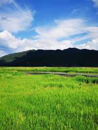 泸沽湖 | 行經婚姻大橋。