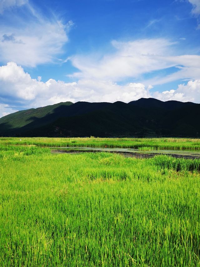 泸沽湖 | 行經婚姻大橋。