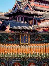 剛從瀋陽回來|3天2夜,說些不愛聽的大實話。