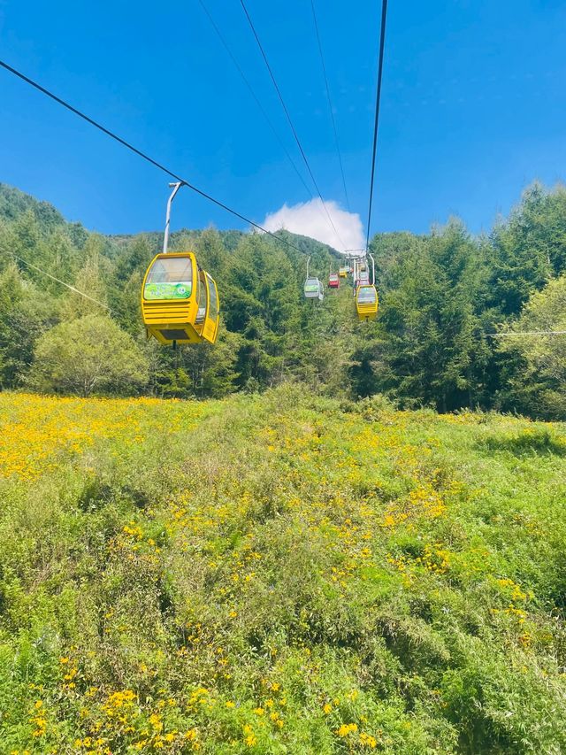 西安周邊遊西安到留壩兩天一夜旅遊攻略。