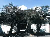 推薦景點打卡：川沙古鎮。