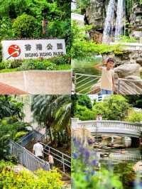 香港城市漫步|帶6歲兒子暴走2萬步攻略。