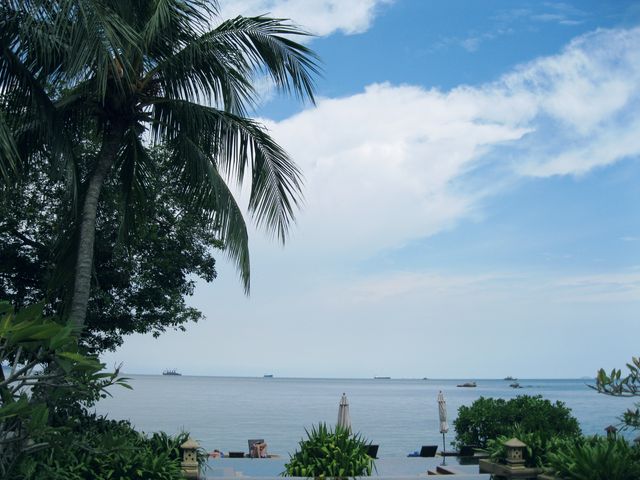 人醉綠中海。