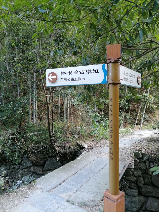 徒步榉根嶺古道丨千年古道丨國慶節避擁遊玩的好地方。