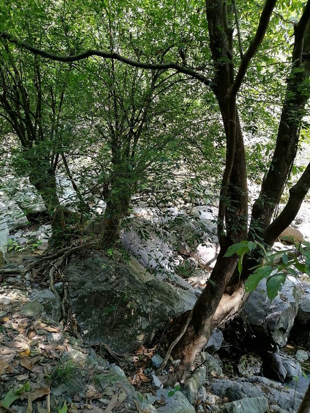 徒步榉根嶺古道丨千年古道丨國慶節避擁遊玩的好地方。
