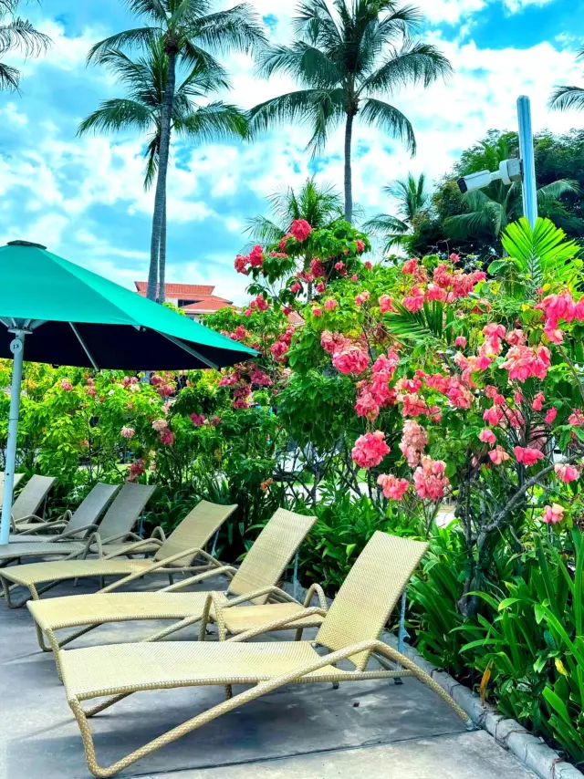 매력적인 아루, 럭셔리한 선택 - 코타키나발루 샹그릴라 탄중아루 리조트 가이드.