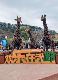 武漢動物園遊玩攻略。