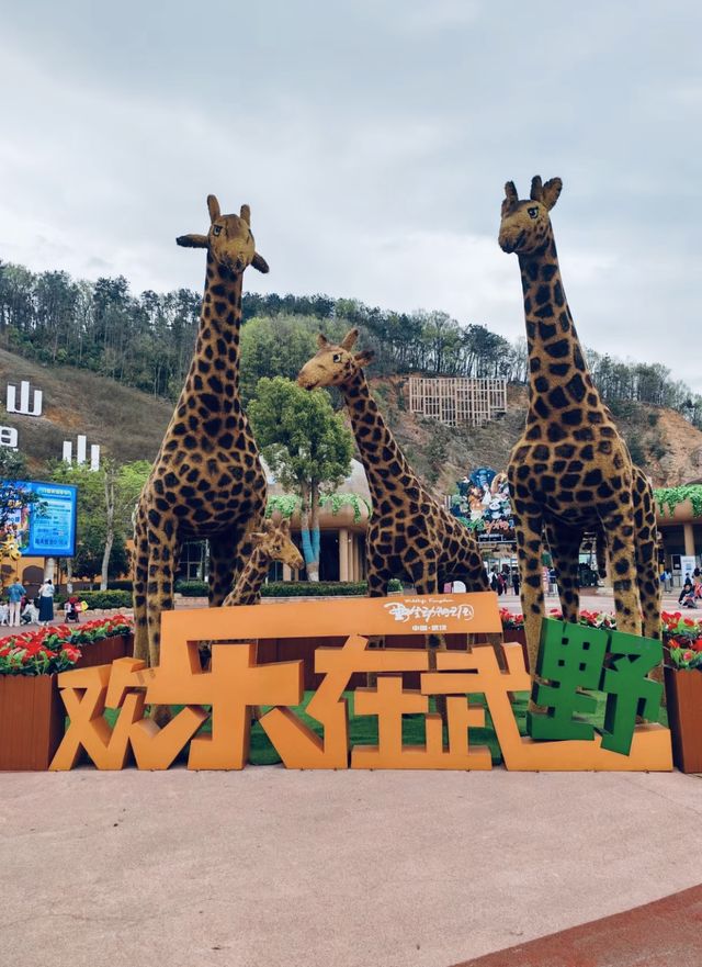 武漢動物園遊玩攻略。